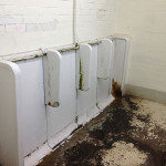 Falmer Railway Station Gents Toilets before being renovated